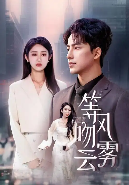 剧集无声证词海报